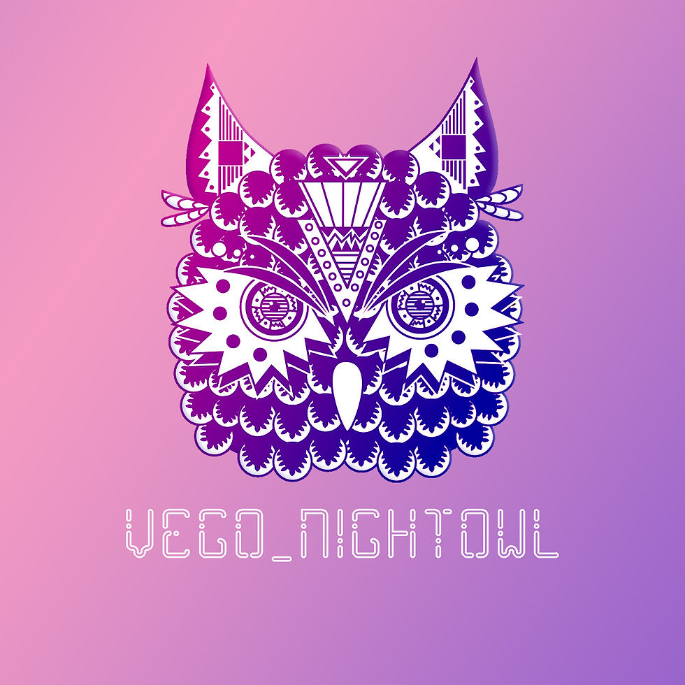 Logo V4