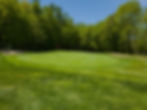 Green on Hole #15