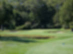 Hole # 5 Green