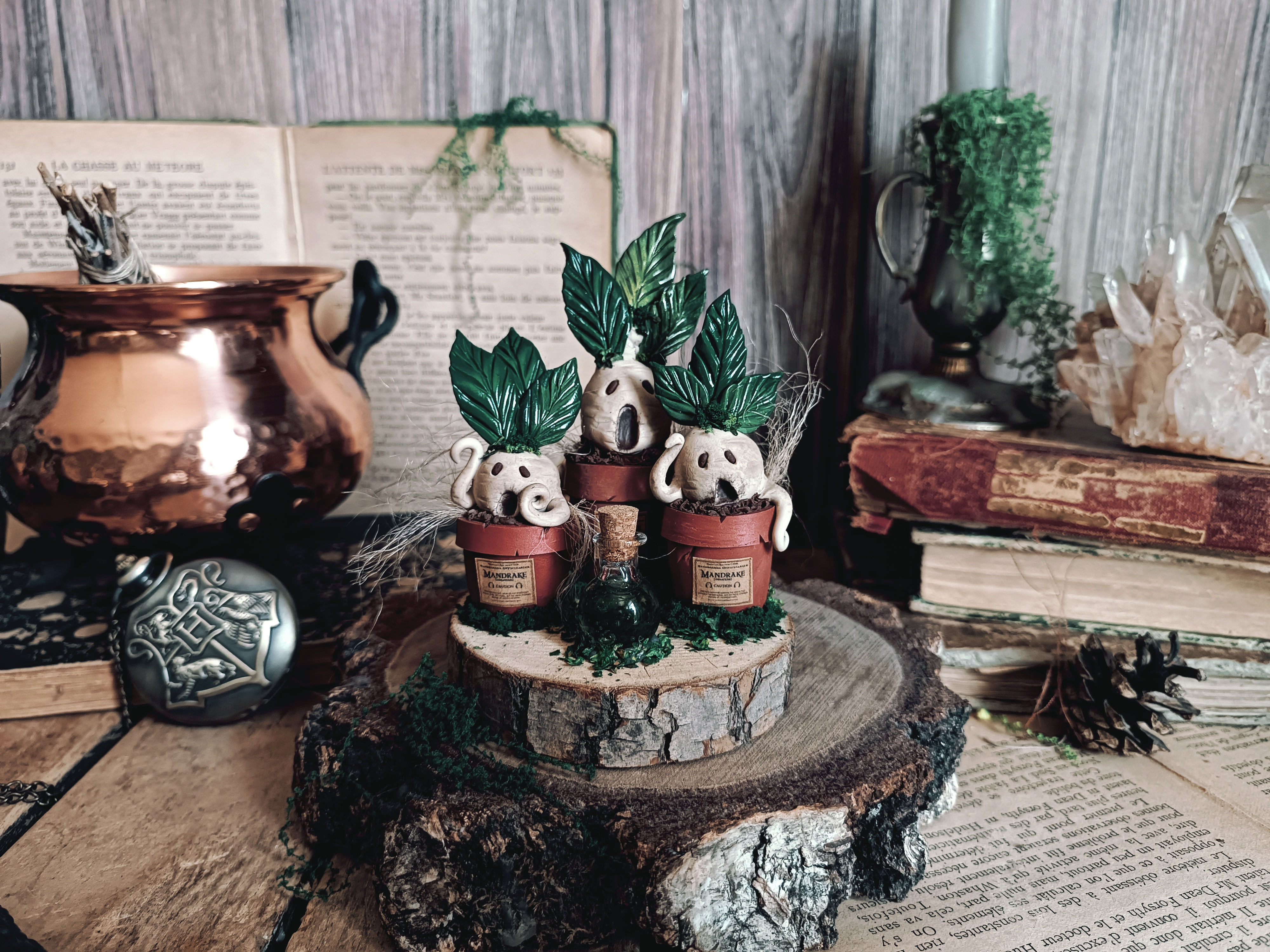 Le Cercle des Mandragores