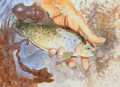 North Fork Cutt 9X12