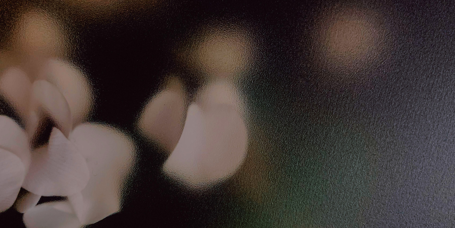 Blurry Petals_edited.jpg