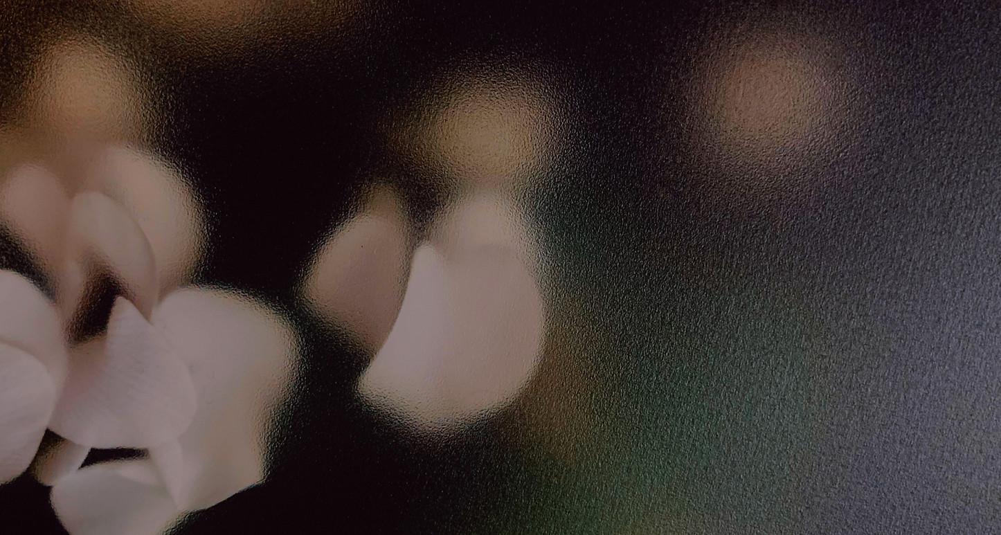Blurry Petals_edited.jpg