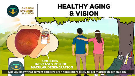 Healthy Aging and Vision