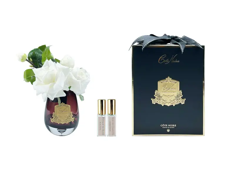 COTE NOIRE - TEA ROSE IN BLACK GLASS - IVORY WHITE