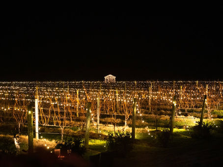 Wölffer Estate’s Holiday Illumination: A Night of Light, Love & Hamptons Magic