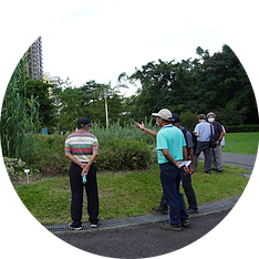 臺灣原生植物花園.png