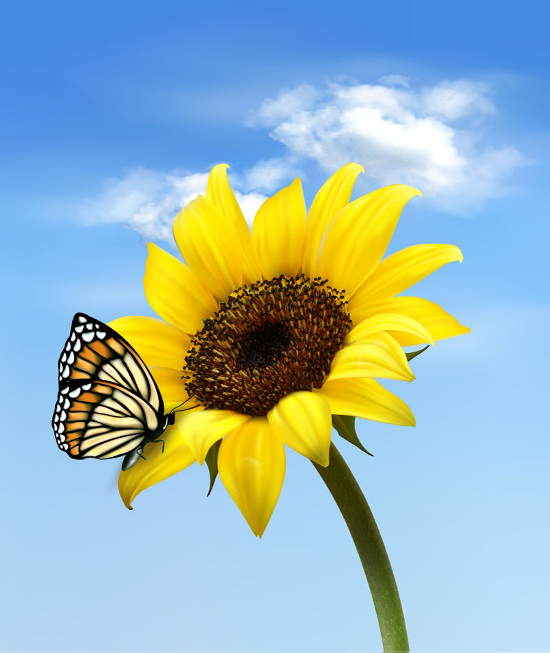 Le Soleil Natural and Organic Nail Salon and Spa