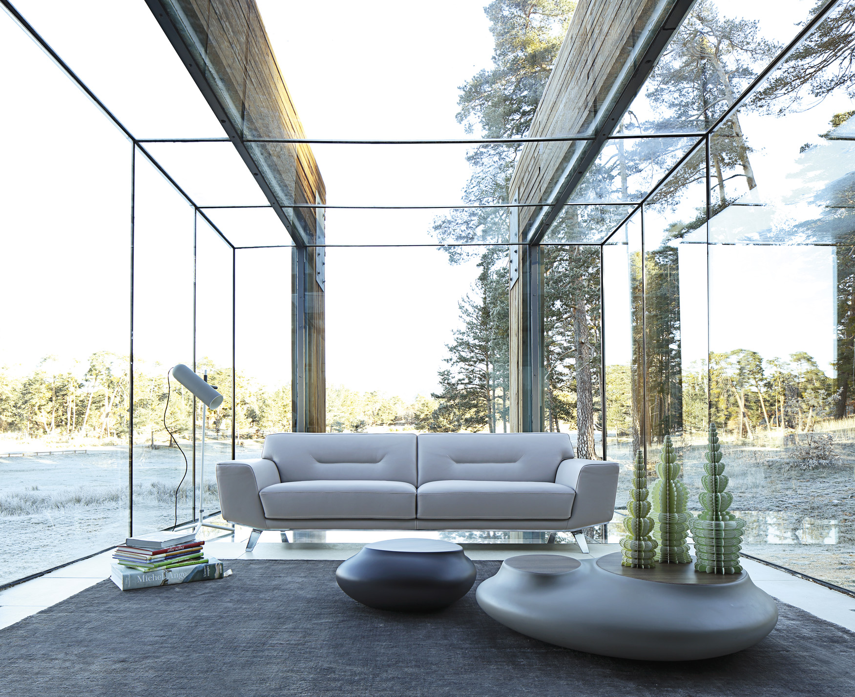 Campagne Roche Bobois