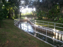 Lake Reedy 5