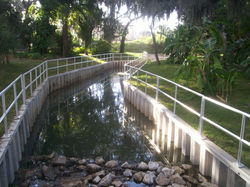 Lake Reedy 3