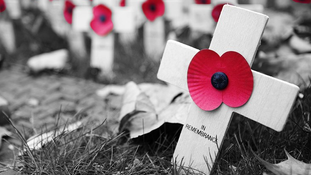 Crosses with red poppies on grass honor fallen soldiers; "In Remembrance" text visible. Somber mood in a graveyard setting.
