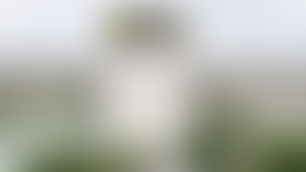 tragic Grenfell Tower fire