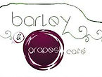 Barley and Grapes Bangalore — Camories Photography client
