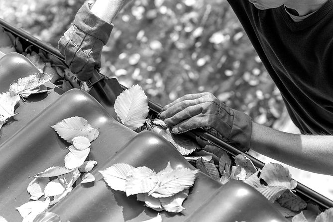 Man cleaning the gutter