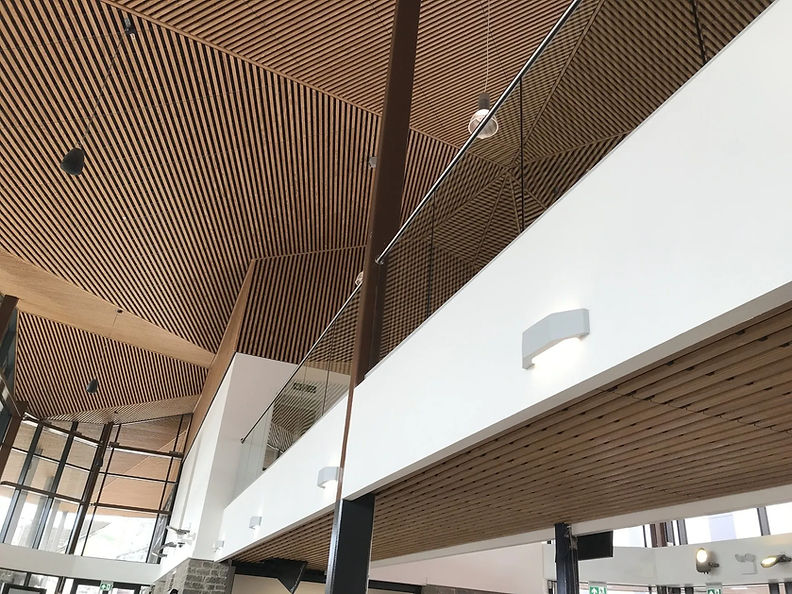 Modern roof with balustrade and railing