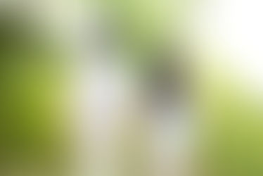 フィーリングは大事です👌