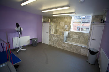 Grooming Room 2