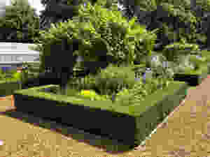 productive garden, veg garden, pottage, clipped box hedges, buxus hedge, parterre, gravel paths, manor house, Hampshire