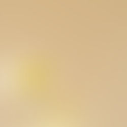 White flowers on neutral background