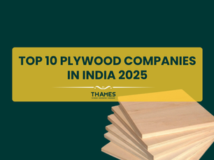 Top 10 Plywood Companies in India 2025 | Best Plywood Brands
