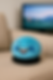 Giggles on the couch.png