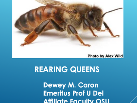 REARING QUEENS- a pdf slide deck from the talk by Dewey