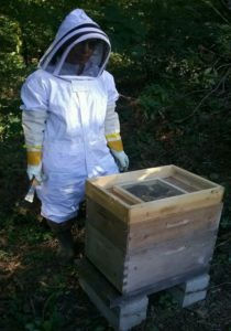 Winterizing bee hives
