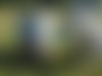 Finishing the Season