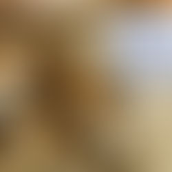 Traumabehandlung neu gedacht: EMDR, Therapiehund und Familientherapie als transformative Kombination