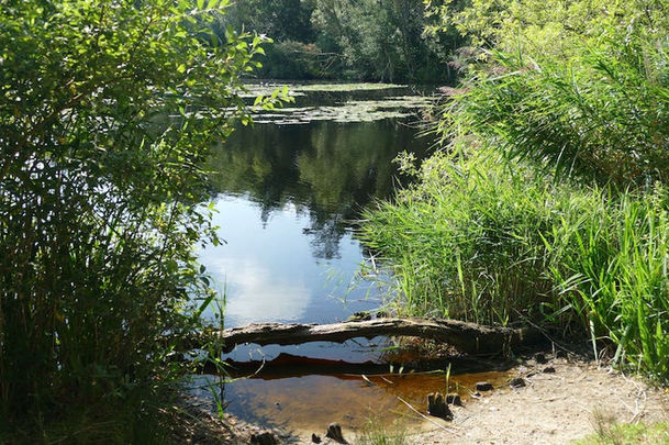 Der See im Wernerwald