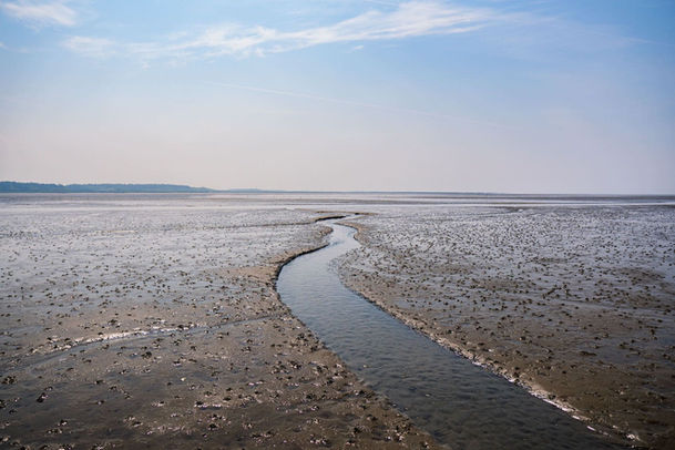 Pril im Wattenmeer