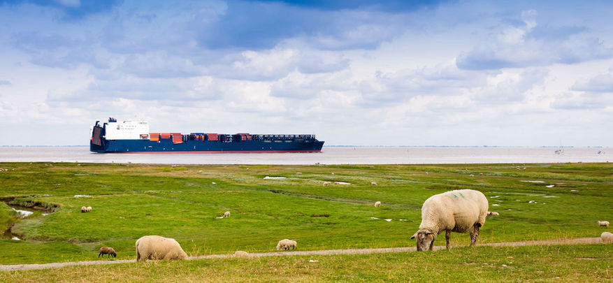 Containerschiff vor Cuxhaven