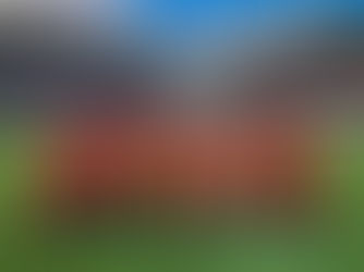 SAYRA PERALTA: PITCHER QUE DESAFÍA EL SILENCIO Y LÍMITES
