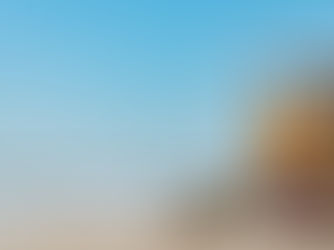 2026 in Port A: Events, Holidays & Why You Should Book Early