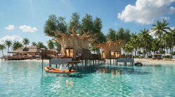 Bay of the Floating Palms