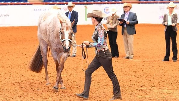What Judges Look for in Western Riding Events: A Guide for Riders 🤠