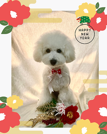 名称未設定のデザイン (7).png