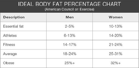What is Body Fat Percentage
