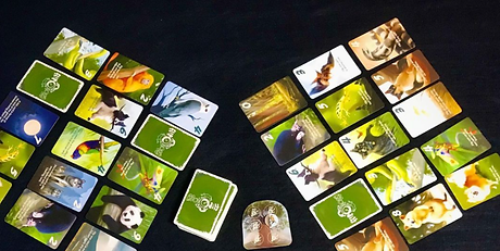 2021-09-28 12_20_37-Ernest Fraaij (_the_boardgame_connaisseur) • Instagram photos and vide