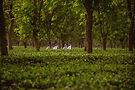 DSC_8442_edited.jpg