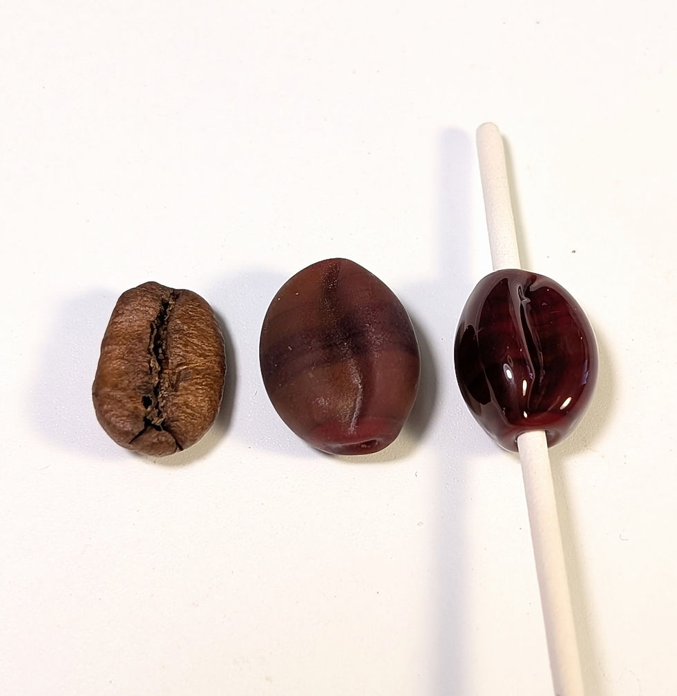 Three coffee beans on a white background: one raw, one roasted, and one glossy coffee-bean lampwork bead on a mandrel and one etched lampwork coffee bead bead all side by side