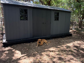 Our DIY Backyard Shed Build: Making Room Beyond the Garage