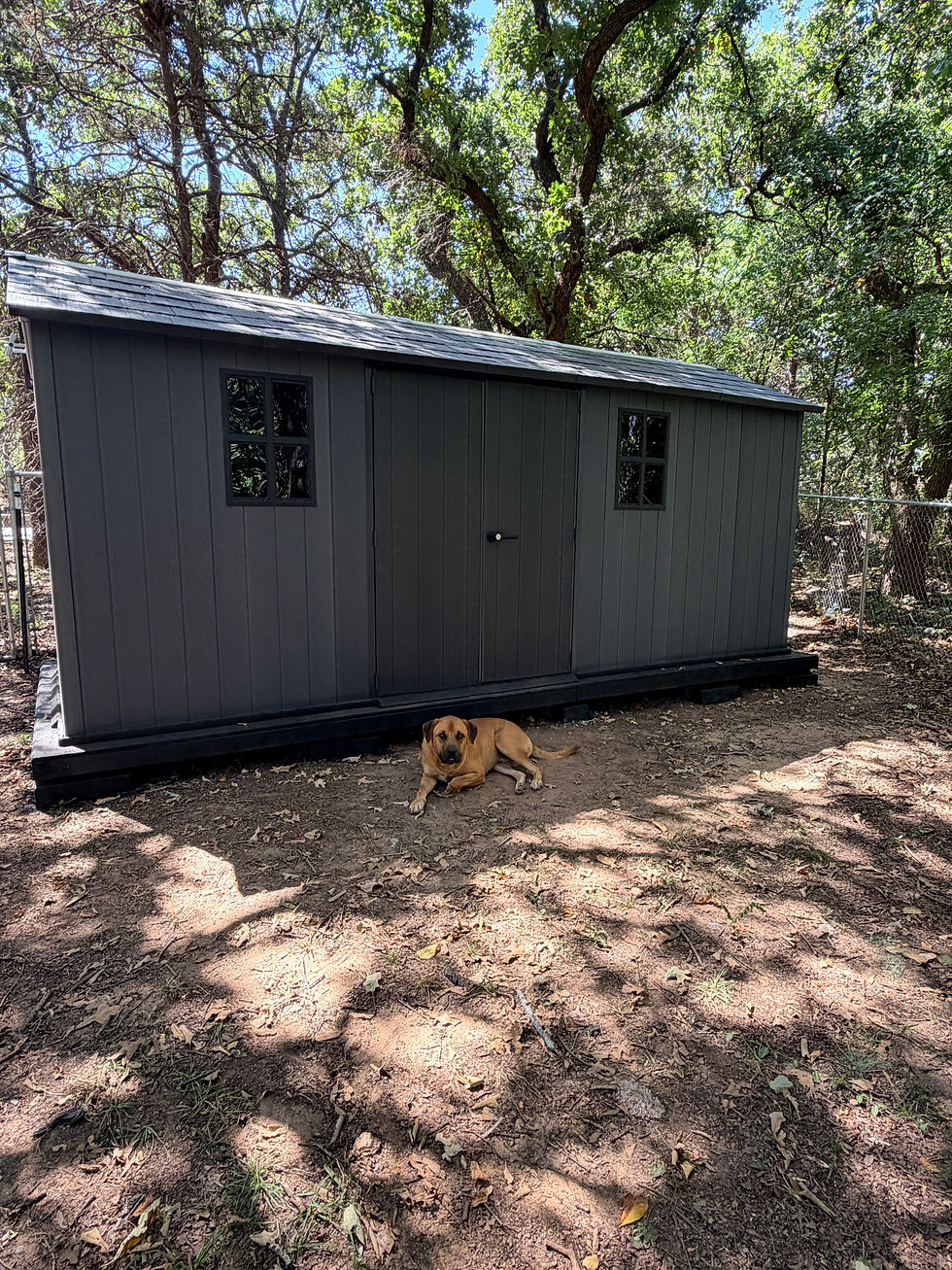 Our DIY Backyard Shed Build: Making Room Beyond the Garage