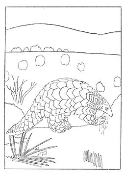 Giant_Ground_Pangolin_Coloring_Sheet_edited.jpg