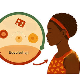 Hedhi baada ya kutumia P2 (Postinor-2)