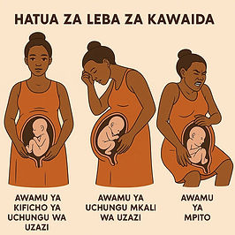 Active phase of labor