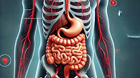 Mesenteric artery ischaemia