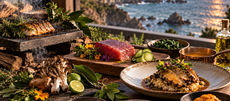 Natural coastal ingredients and cooking techniques used in fine dining