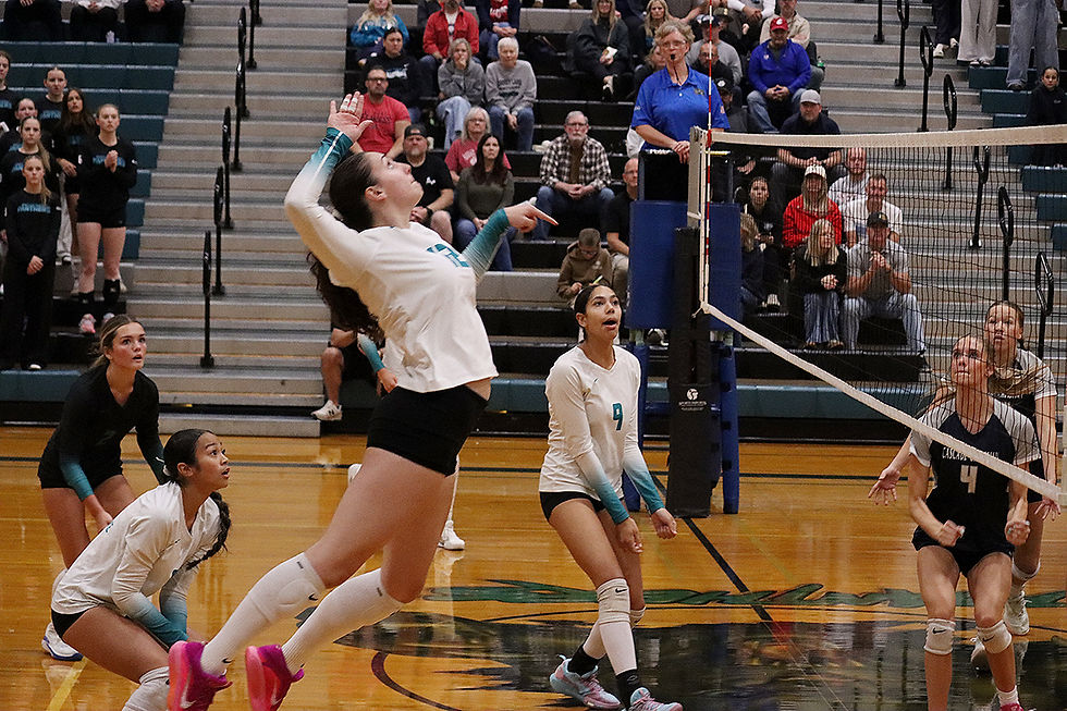 Elli Larwig - 5 Kills 2 Blocks